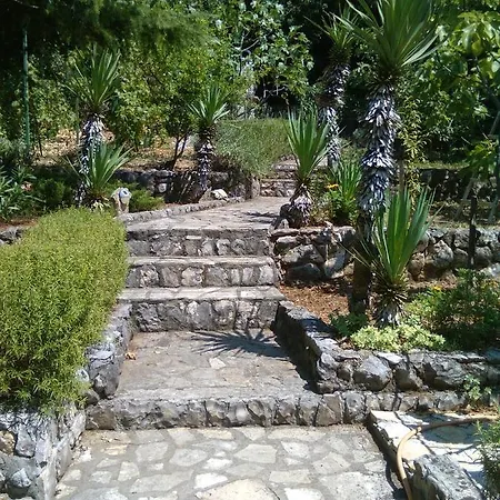 بيت ضيافة Dea